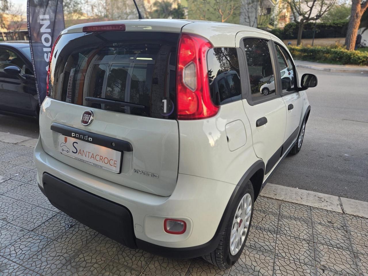 FIAT PANDA 1.0 70cv Hybrid Euro 6d Van 4 p. Street