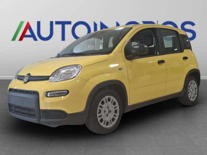 FIAT Panda 1.0 firefly hybrid s&s 70cv 5p