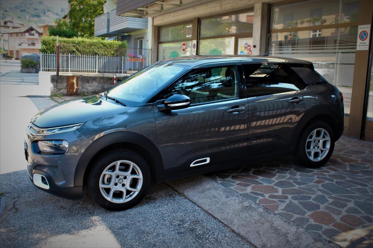 Citroen C4 Cactus PureTech 130 S&S EAT6 Shine GPL