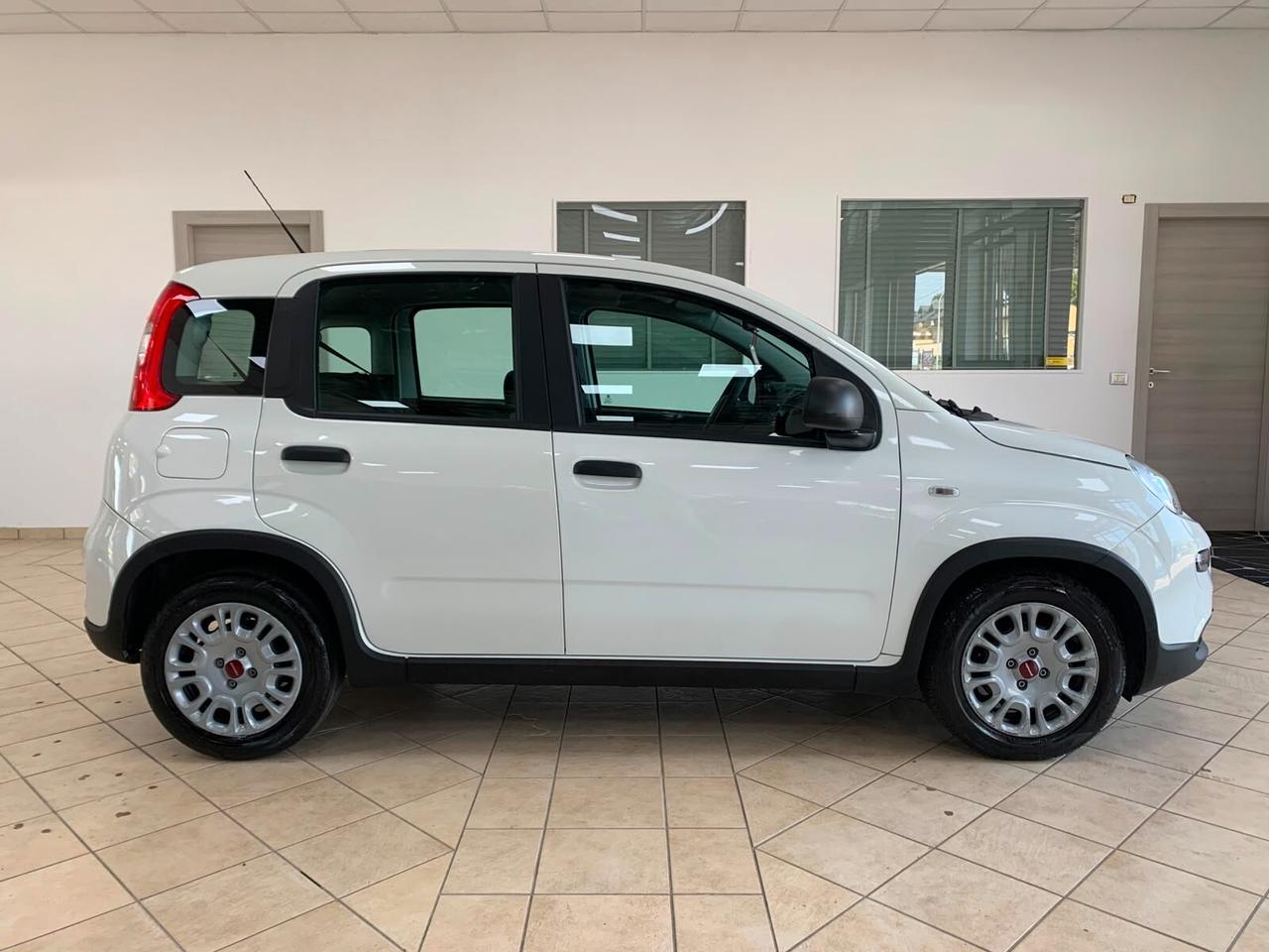 Fiat Panda 1.0 FireFly S Hybrid *IVA DEDUCIBILE*