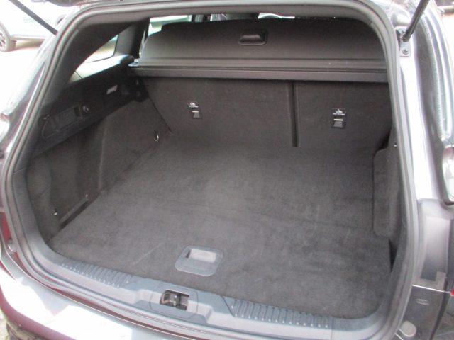 FORD Focus 1.5 EcoBlue St-Line Auto 115cv