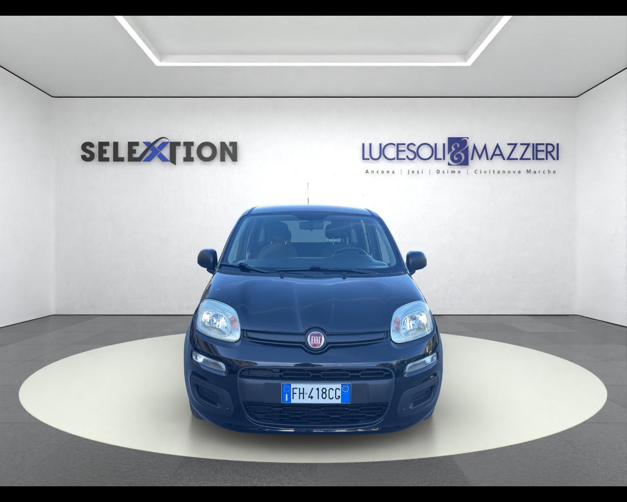 FIAT PANDA - Panda 1.2 Easy