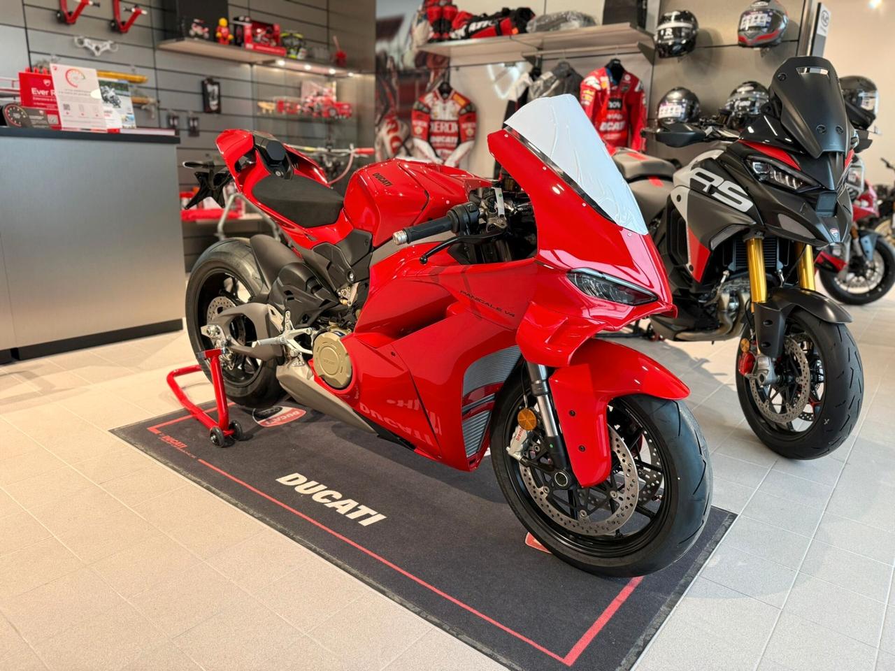 Ducati Panigale V4 BASE MY 2026 NUOVA DA IMMATRICOLARE