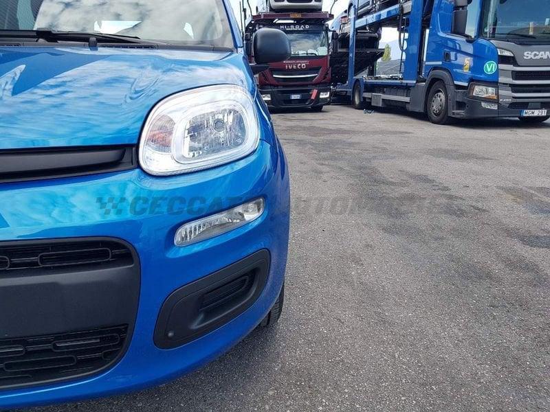 FIAT Panda Panda 1.0 70cv Hybrid Icon