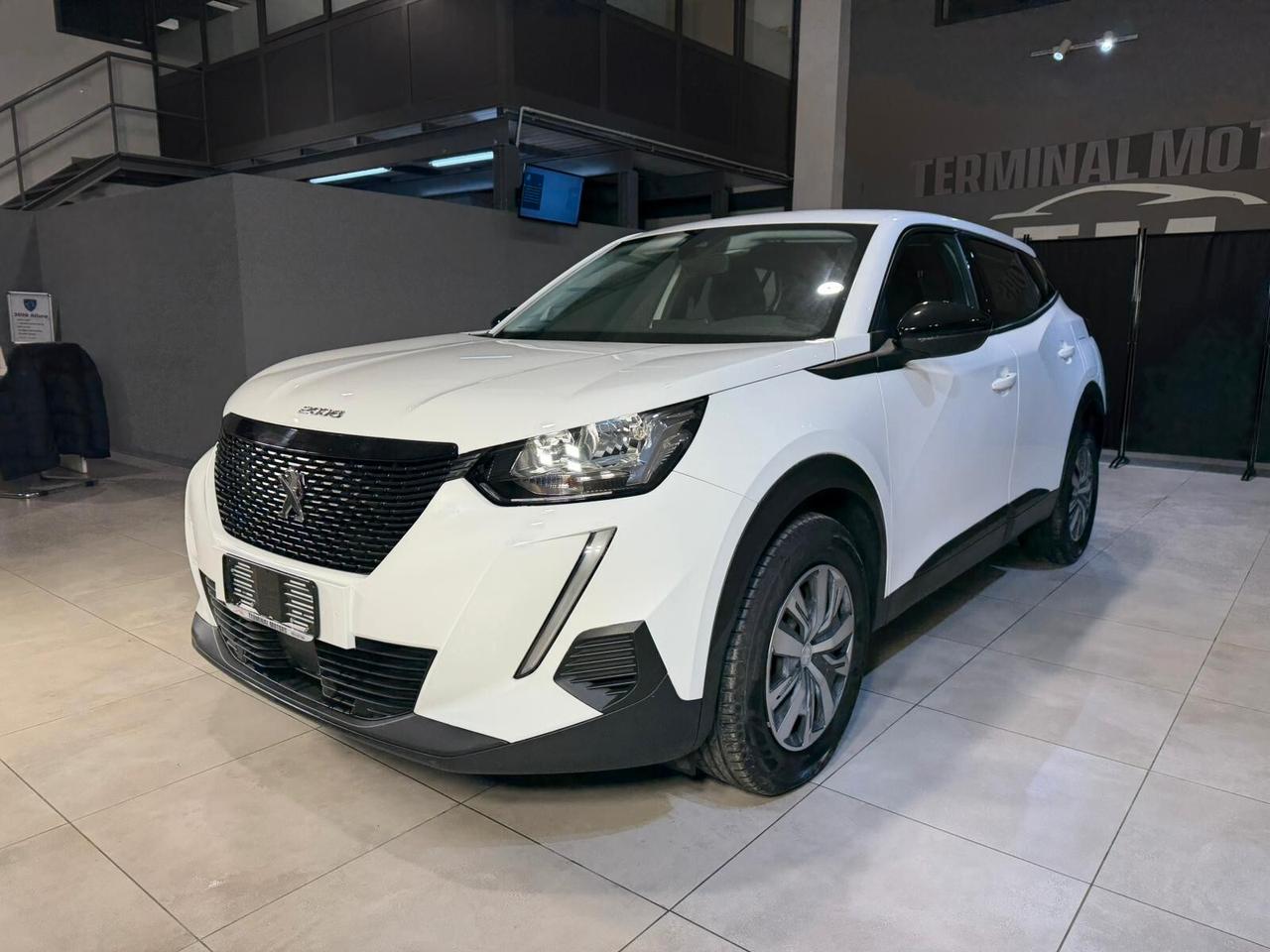 Peugeot 2008 BlueHDi 110 S&S Active