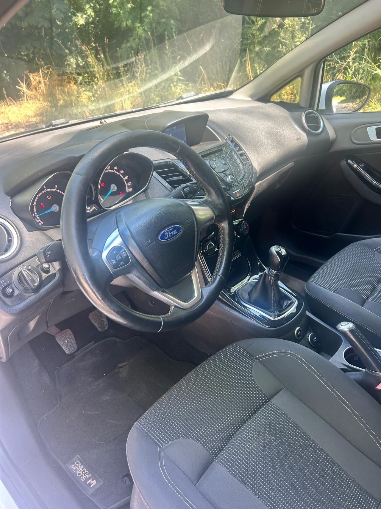 Ford Fiesta 1.4 5 porte Bz.- GPL Black & White Edition