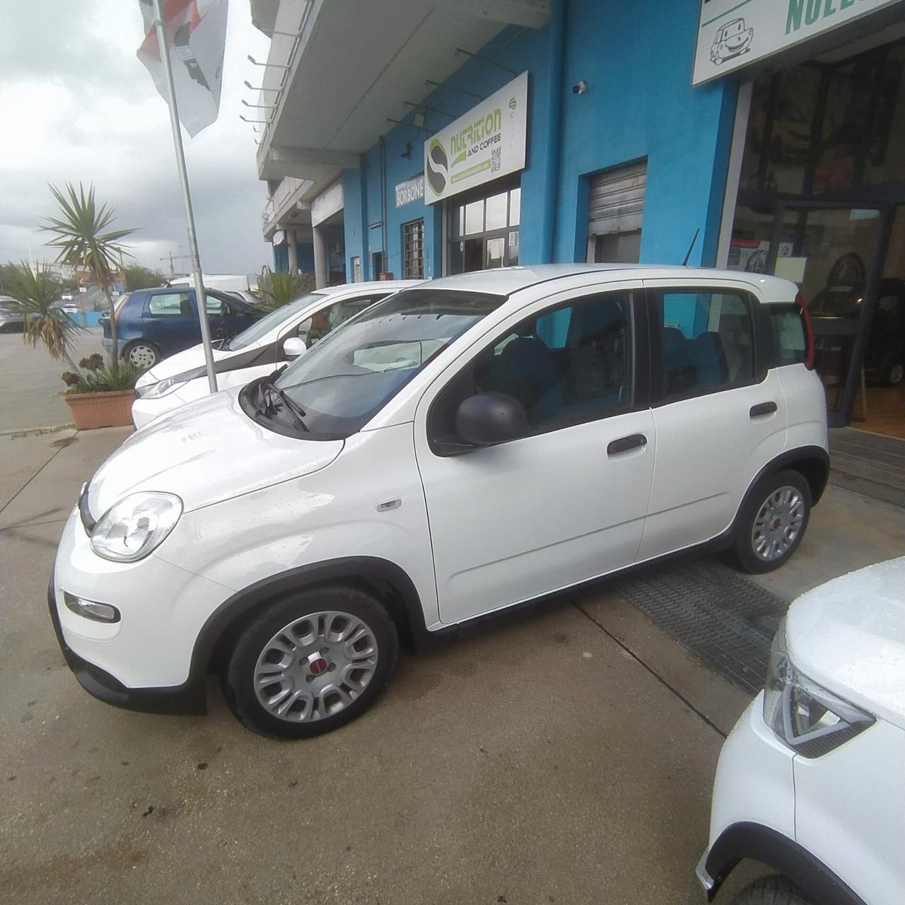 Fiat Panda 1.0 FireFly S&S Hybrid