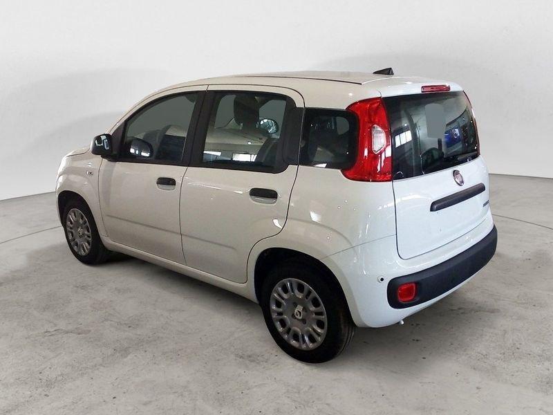 FIAT Panda NEW My25 1.0 70cv Hybrid Panda