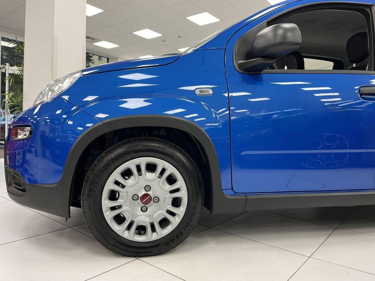 FIAT Panda III 2021 - Panda 1.0 firefly hybrid s&s 70cv