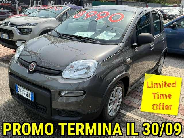 Fiat Panda Panda 1.0 firefly hybrid PRONTA CONSEGNA DISPONIBILI VARI COLORI