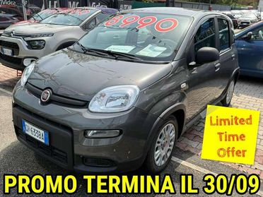 Fiat Panda Panda 1.0 firefly hybrid PRONTA CONSEGNA DISPONIBILI VARI COLORI