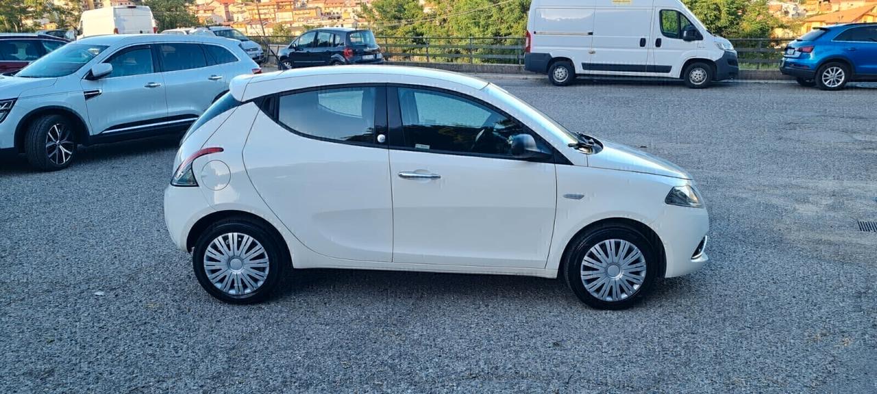 Lancia Ypsilon 1.2 69 CV 5p GPL Ecochic - 2016