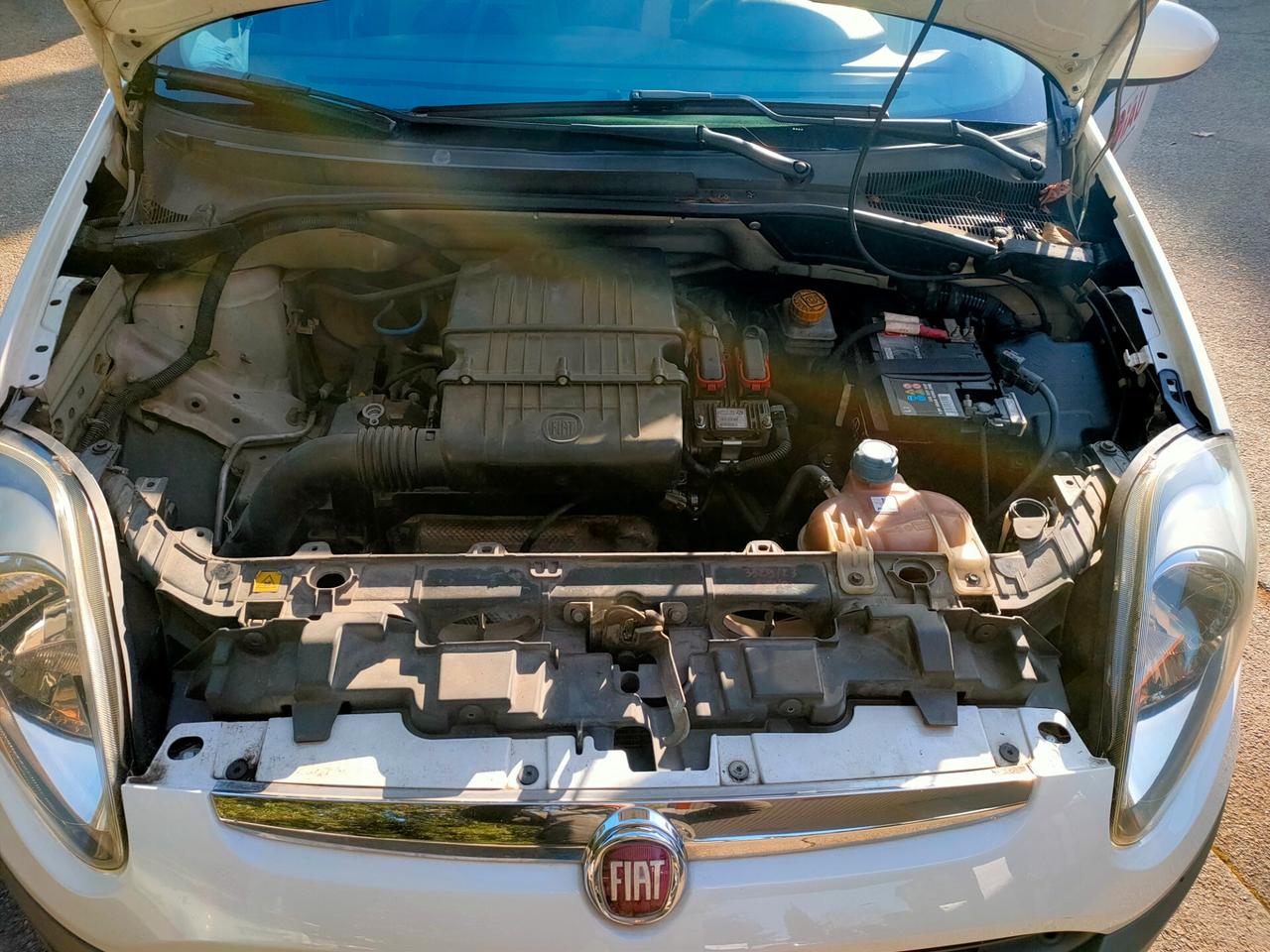 Fiat Punto Evo 1.2 5 porte S&S Dynamic Neopatentati