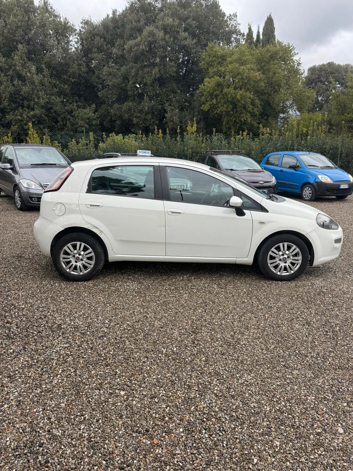 Fiat Punto Evo 1.4 5 porte Dynamic Natural Power