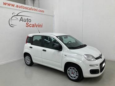 Fiat Panda 1.2 Easy 69CV 5POSTI#NEOPATENTATI