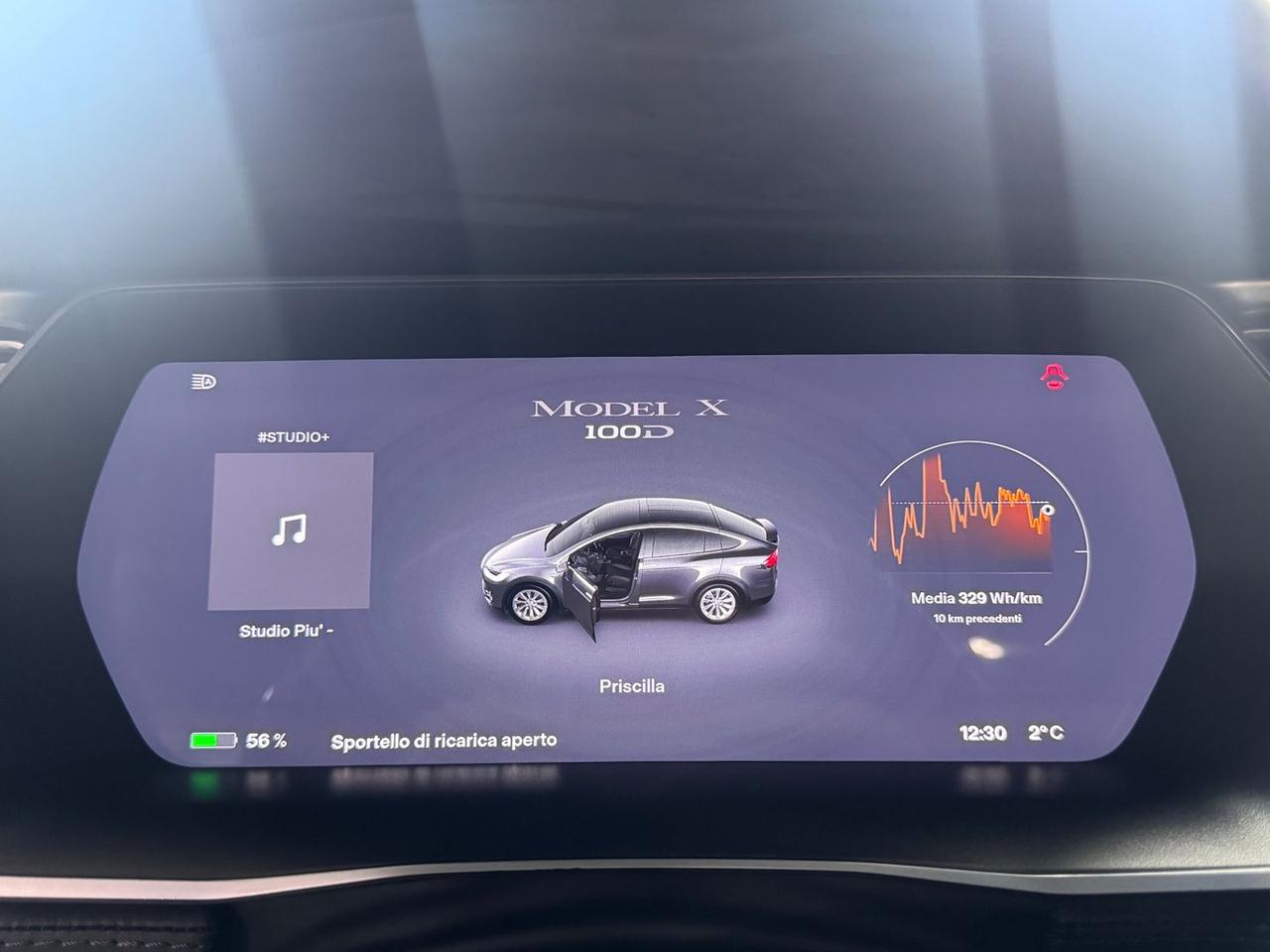 Tesla Model X 100 D #8506