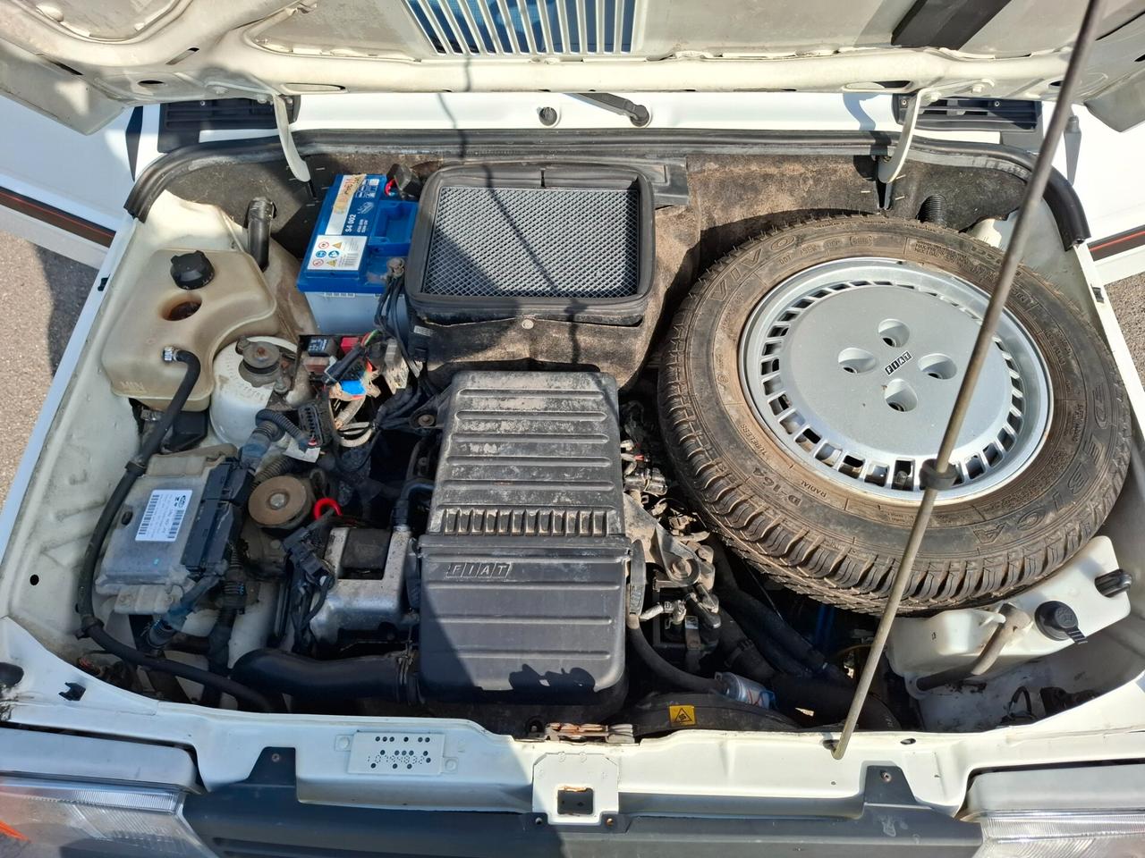 Fiat Panda 1100 i.e. cat Hobby