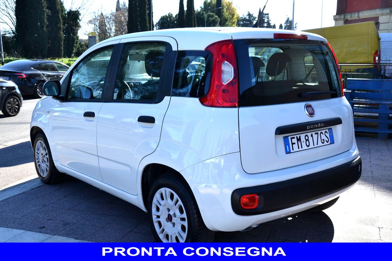 Fiat Panda 1.2 EASY 69CV **OK NEOPATENTATI**PREZZO VERO**