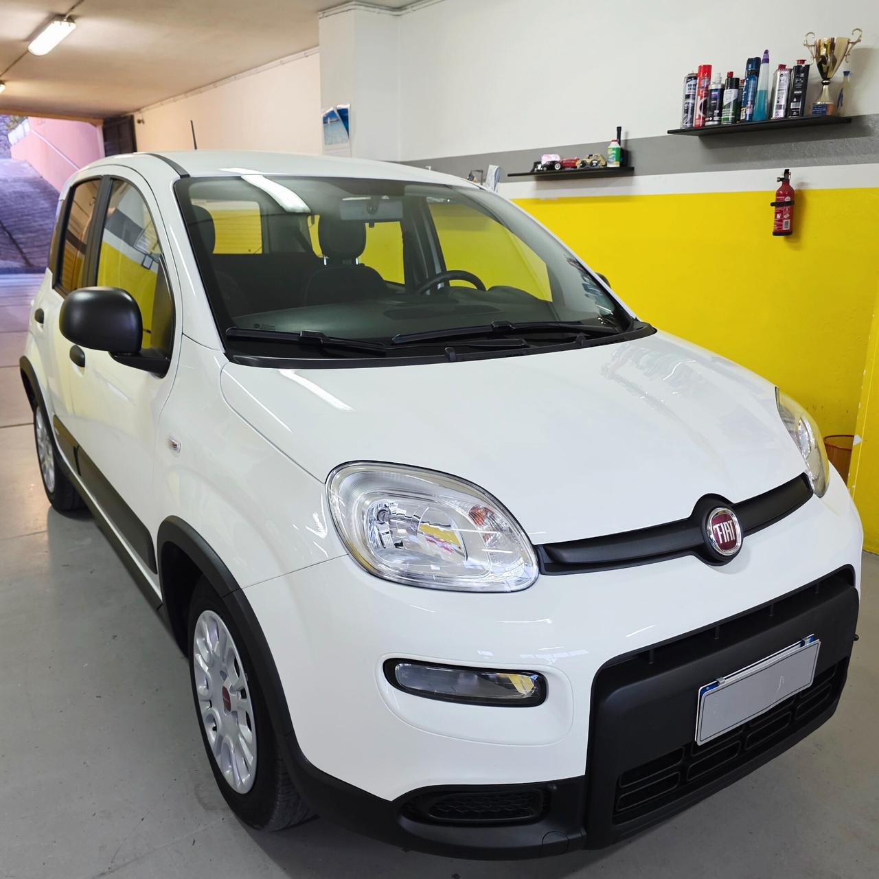 Fiat Panda 1.0 FireFly S&S Hybrid AZIENDALE