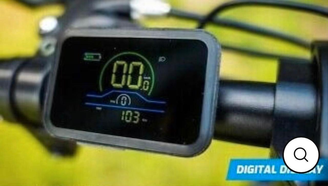 bici elettrica skyjet 250 36v