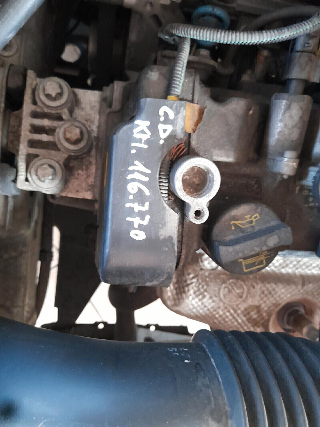 Fiat Punto Evo Punto Evo 1.2 5 porte S&S Dynamic