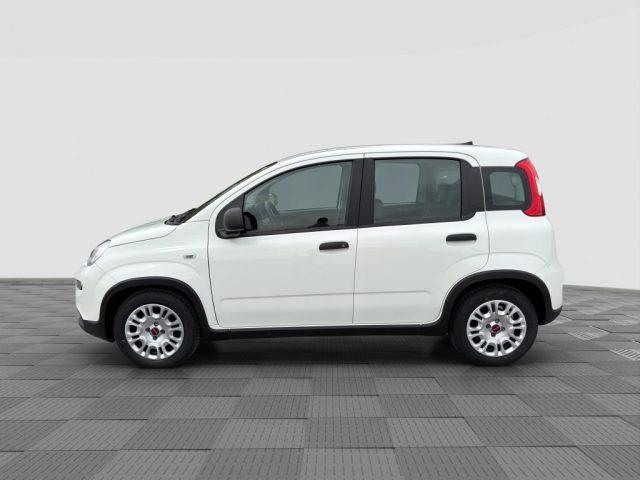 FIAT Panda Panda 1.0 FireFly S&S Hybrid