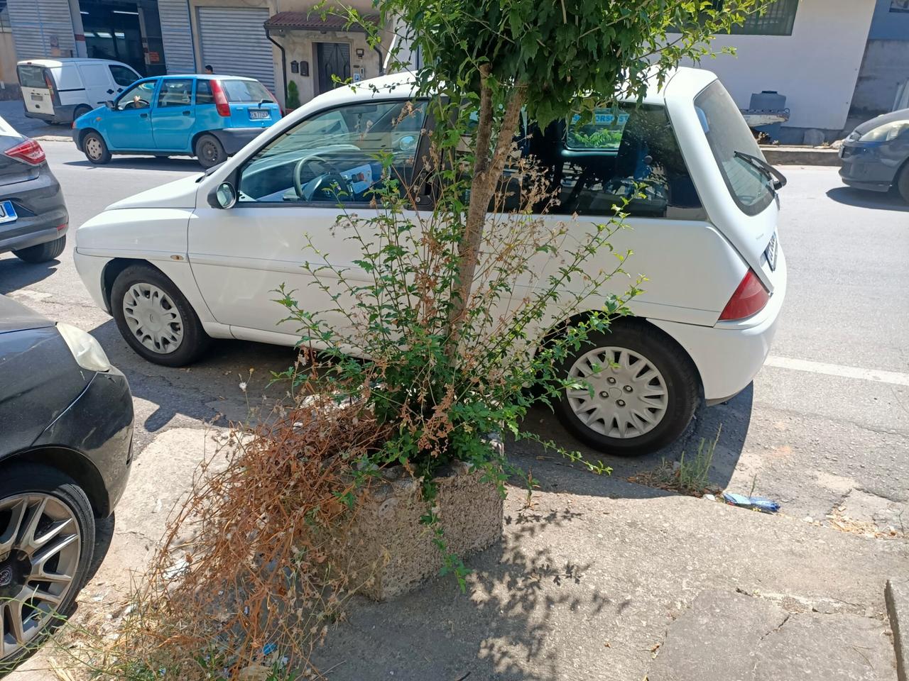 Lancia Y 1.2 fire in buone condizioni gommata e aria condizionata