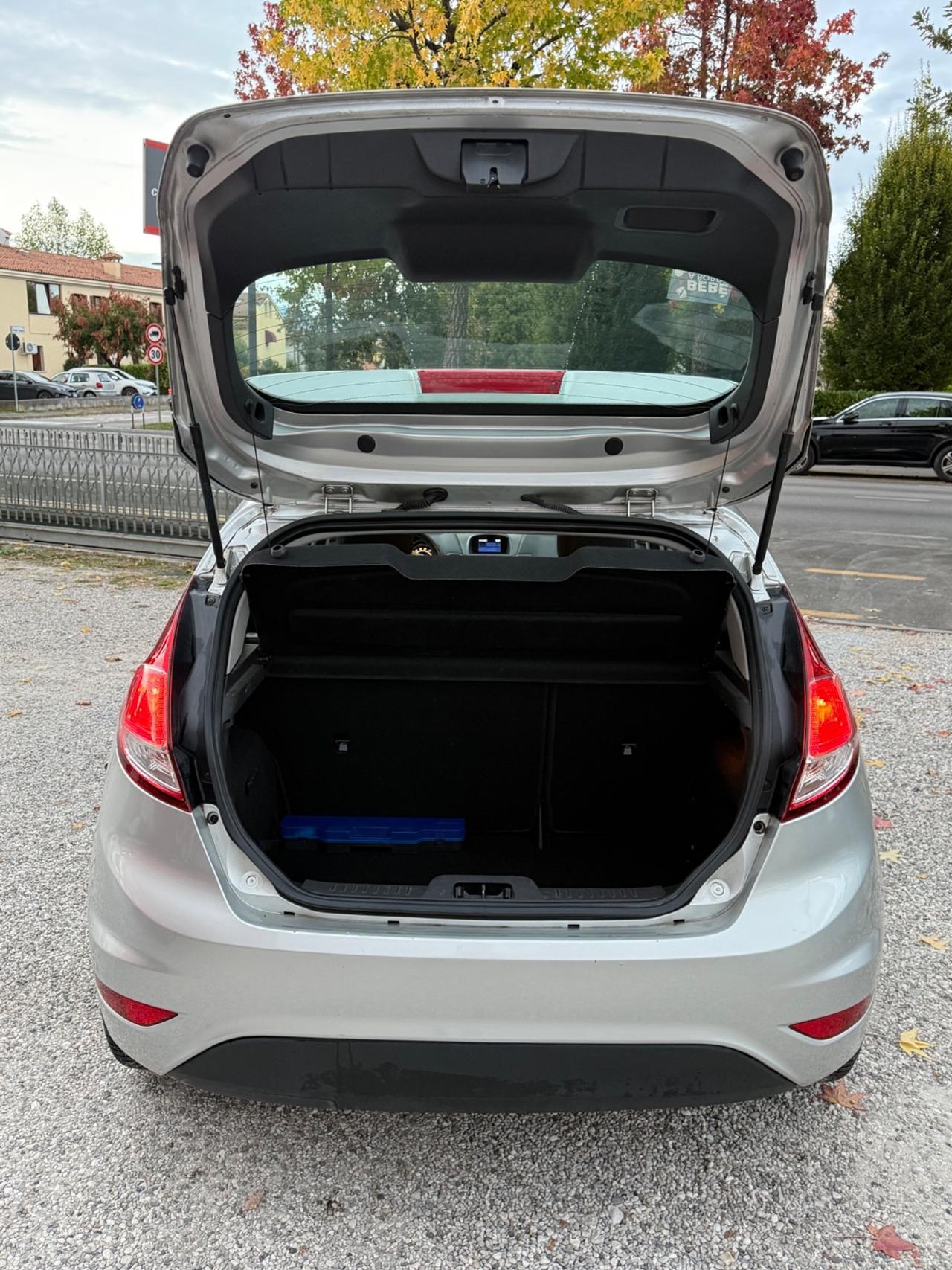 Ford Fiesta 1.5 TDCi 75CV 5 porte Titanium