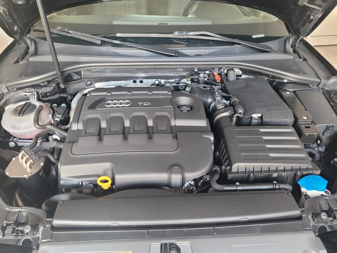 Audi A3 SPB 1.6 TDI diesel Ambiente 5 porte
