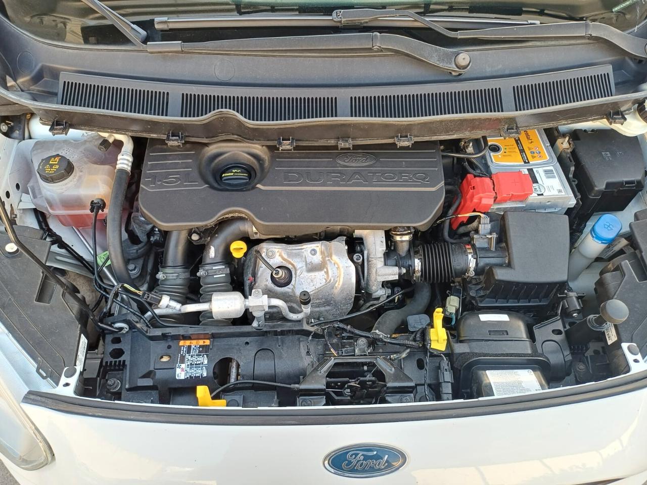 Ford Transit Courier 1.5 TDCi PERFETTO - 2019