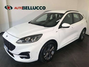 Ford Kuga 1.5 TDCI 120 CV S&S 2WD ST-Line