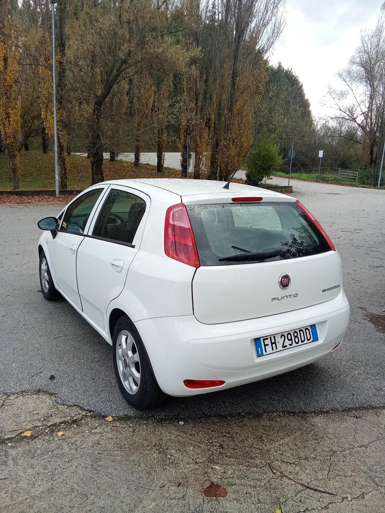 Fiat Punto 1.3 MJT 80cc Van Easy 4 posti 017