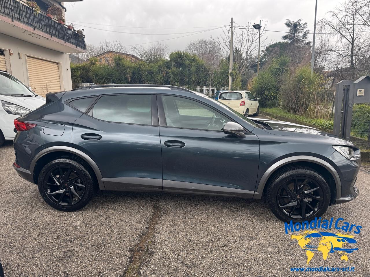 Cupra Formentor 2.0 TDI 4Drive DSG