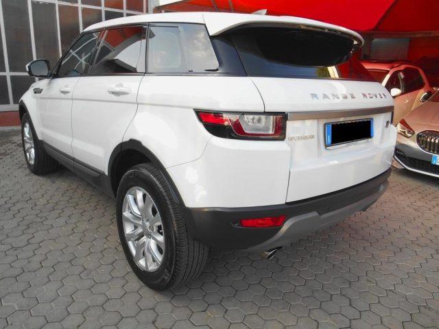 LAND ROVER Range Rover Evoque 2.0 eD4 5p. Business Edition SE