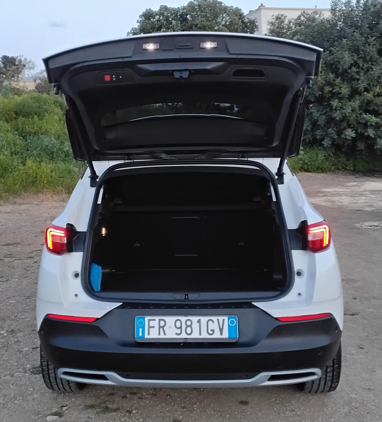 Opel Grandland X 1.6 diesel Ecotec Start&Stop Advance