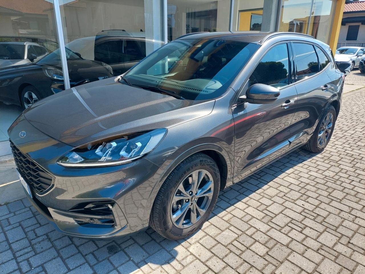 Ford Kuga 2.0 EcoBlue 120 CV aut. 2WD ST-Line