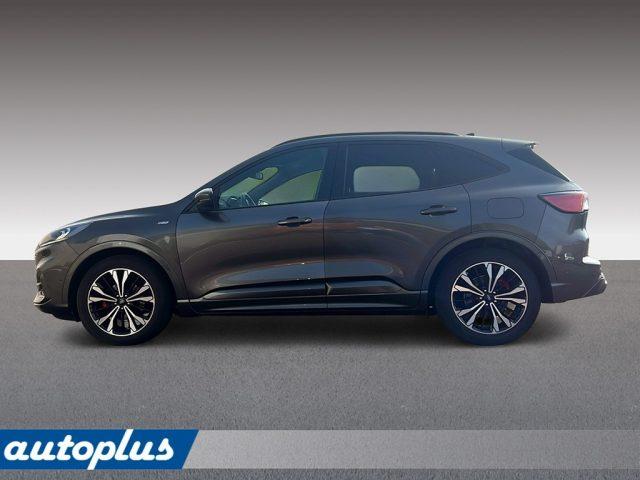 FORD Kuga 2.0 EcoBlue Hybrid 150 CV 2WD ST-Line X