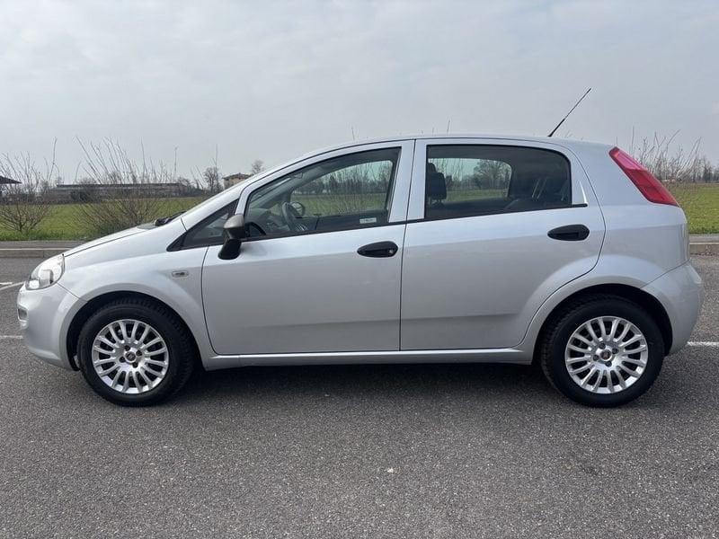 FIAT Punto NEOP. CINGHIA NUOVA 1.2 Benzina 69cv