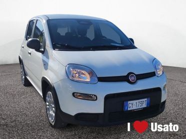 FIAT Panda New Serie 7 1.0 70cv HybridPanda