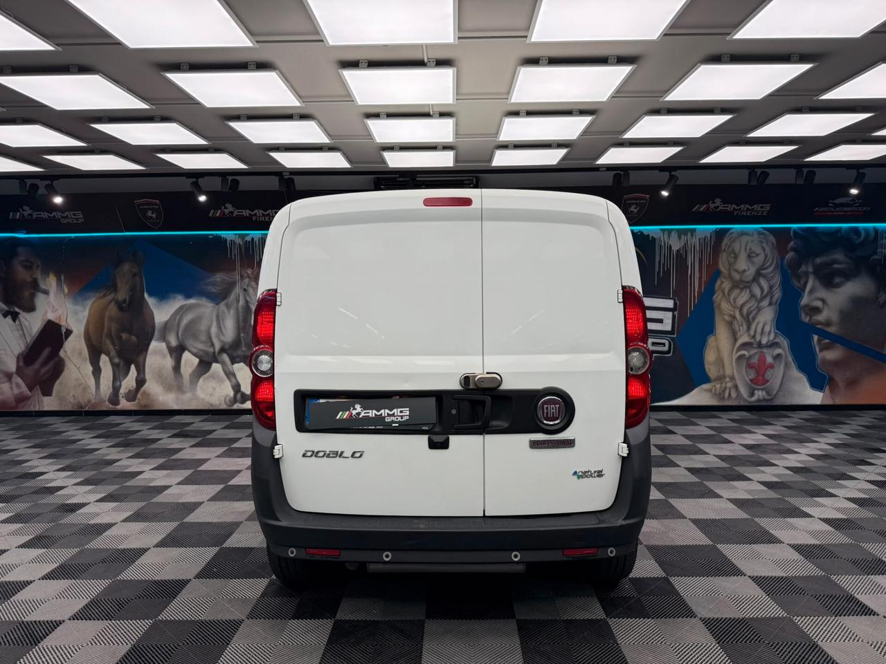 Fiat Doblo Doblò 1.4 Natural Power PC-TN Cargo Lounge (minifurgone) (929)