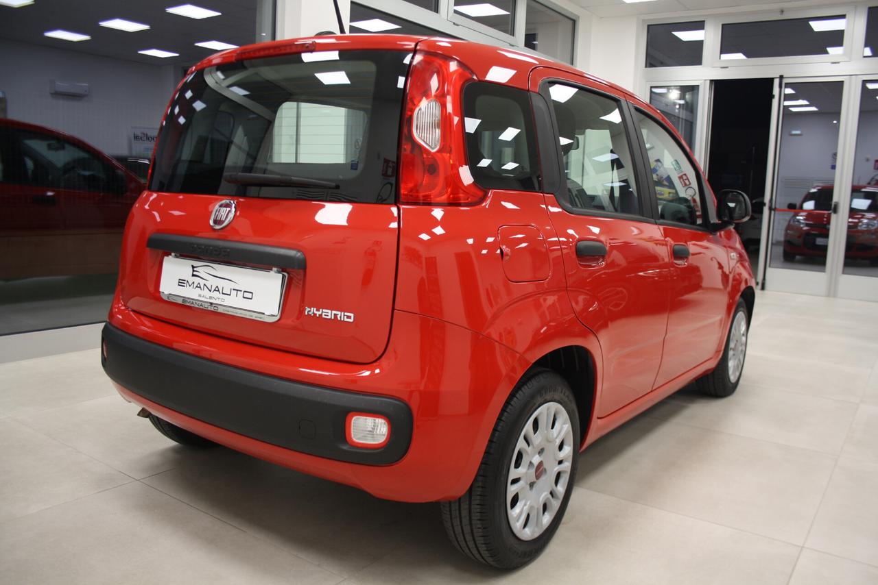 FIAT PANDA 1.0 FireFly 70cv Hybrid