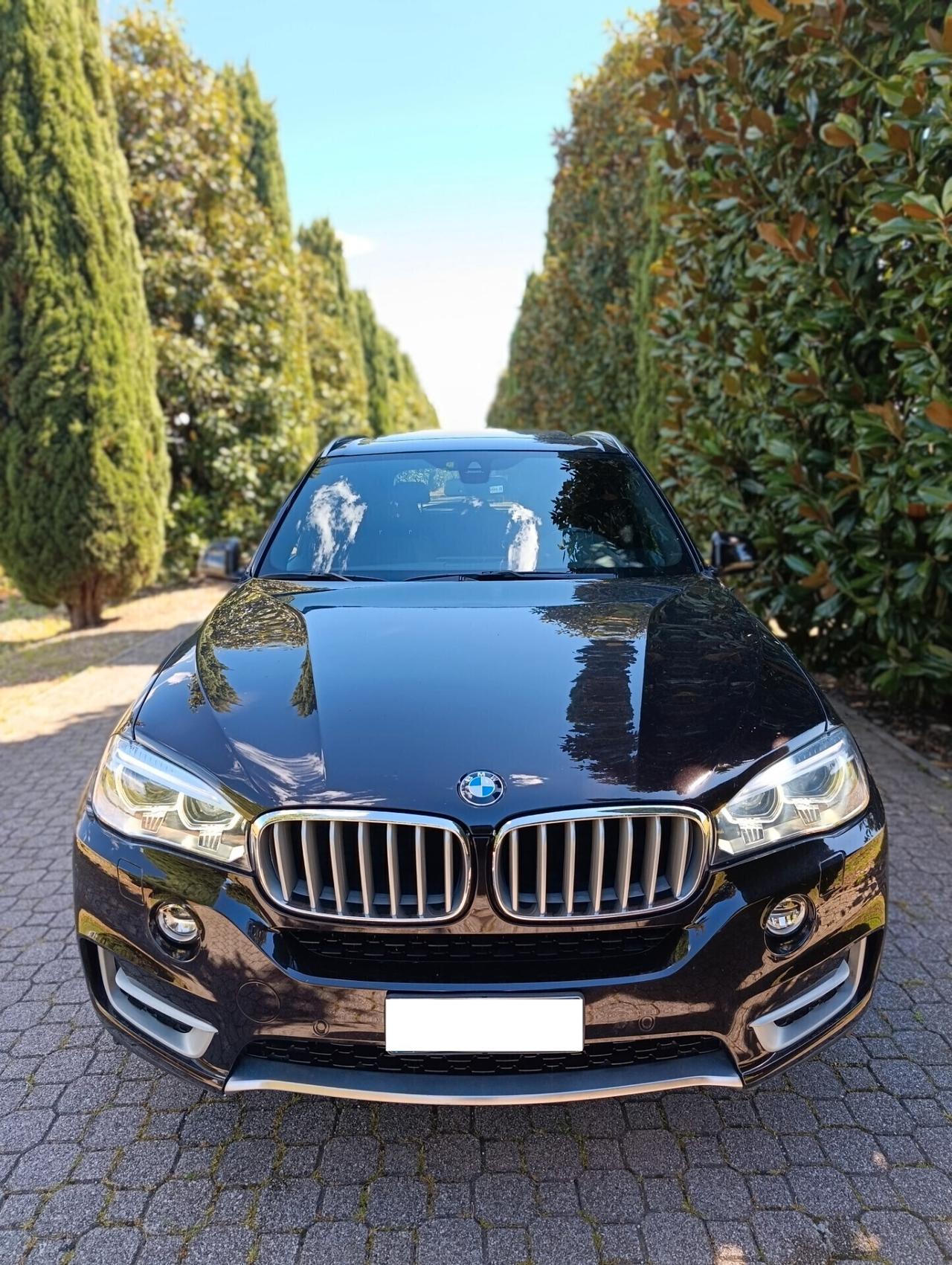 Bmw X5 sDrive25d Luxury #GM