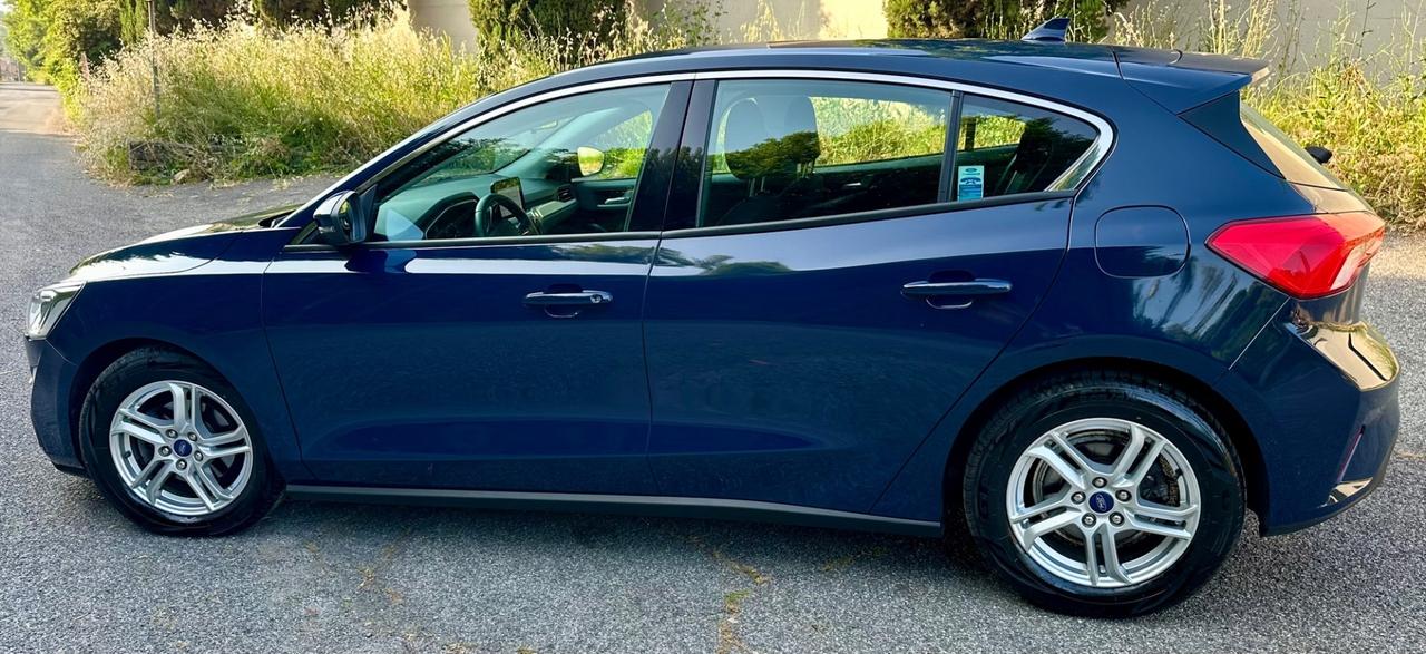 Ford Focus 1.5 EcoBlue 95 CV 5p.
