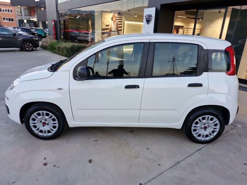 FIAT Panda III 2016 1.2 Easy s&s 69cv my19