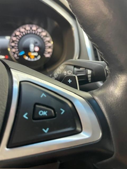 Ford Edge 2.0 TDCI 210 CV AWD S&S Powershift ST Line