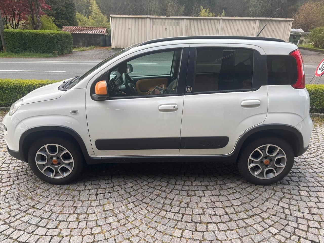 Fiat Panda 1.3 MJT S&S 4x4 Antartica