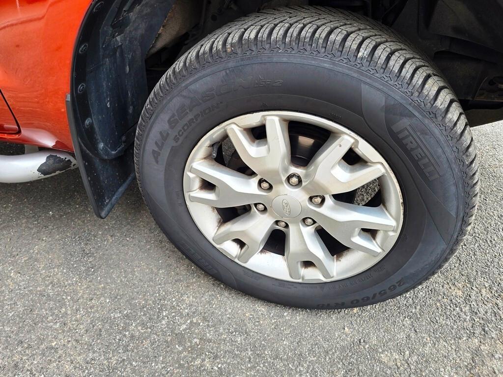 Ford Ranger 3.2 TDCi 200CV WILDTRAK FATTURABILE!