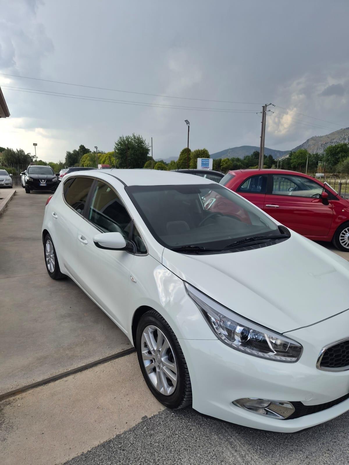 Kia Ceed 1.6 diesel 128 cv garantita 12 mesi