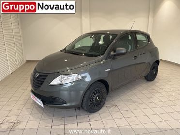 Lancia Y Ypsilon 1.2 69 CV 5 porte Elefantino