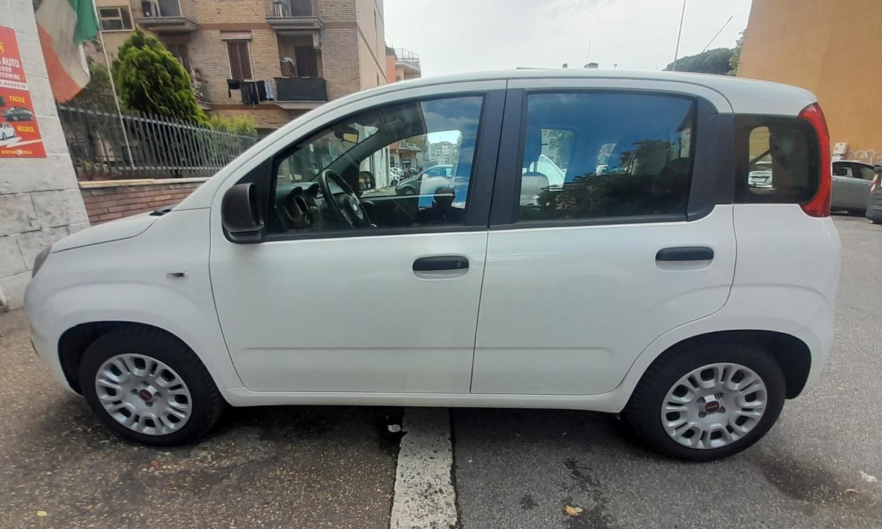 Fiat panda 1.2 CV69 euro6 Anno 2019 neopatentati permuta